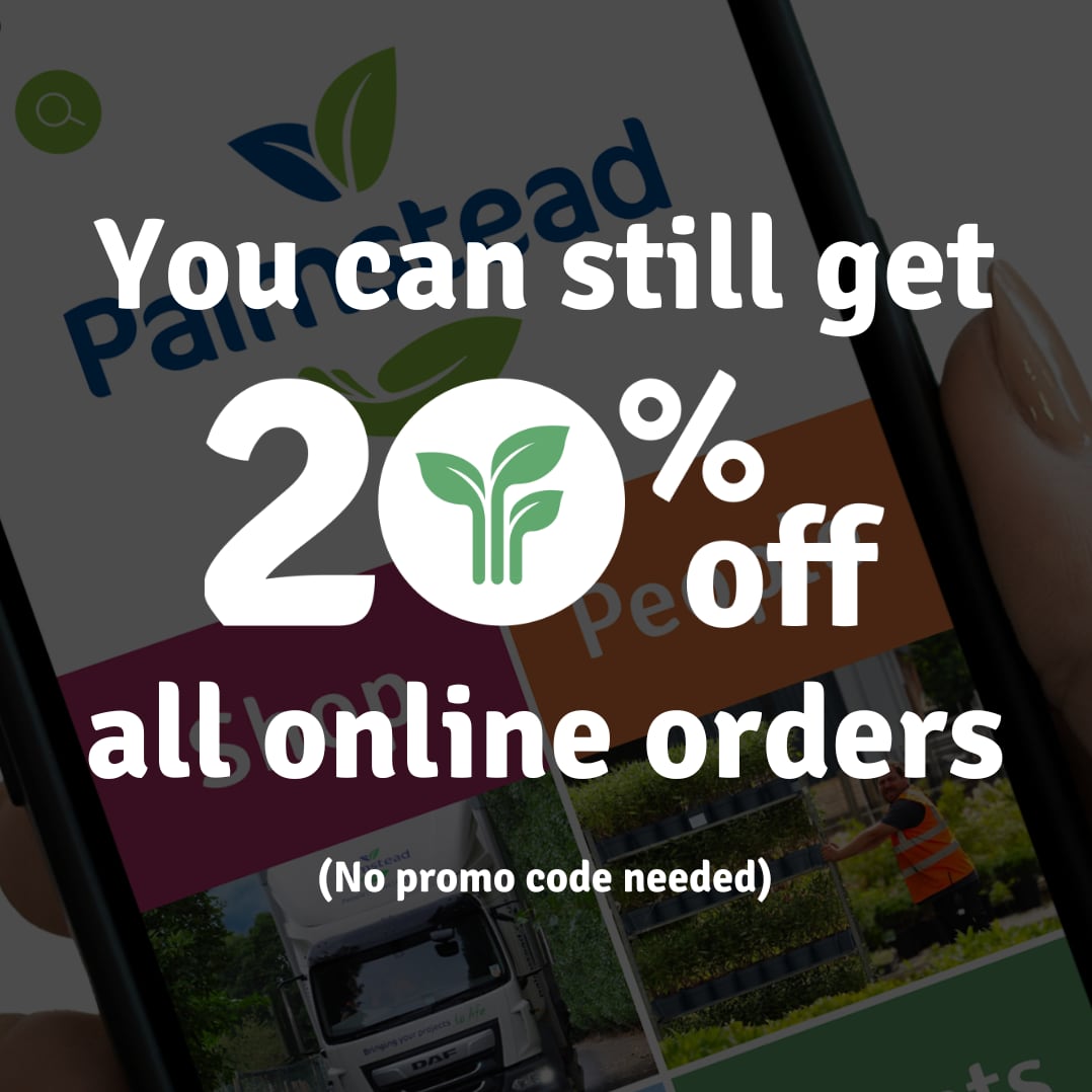 Palmstead Nursery Shop 4