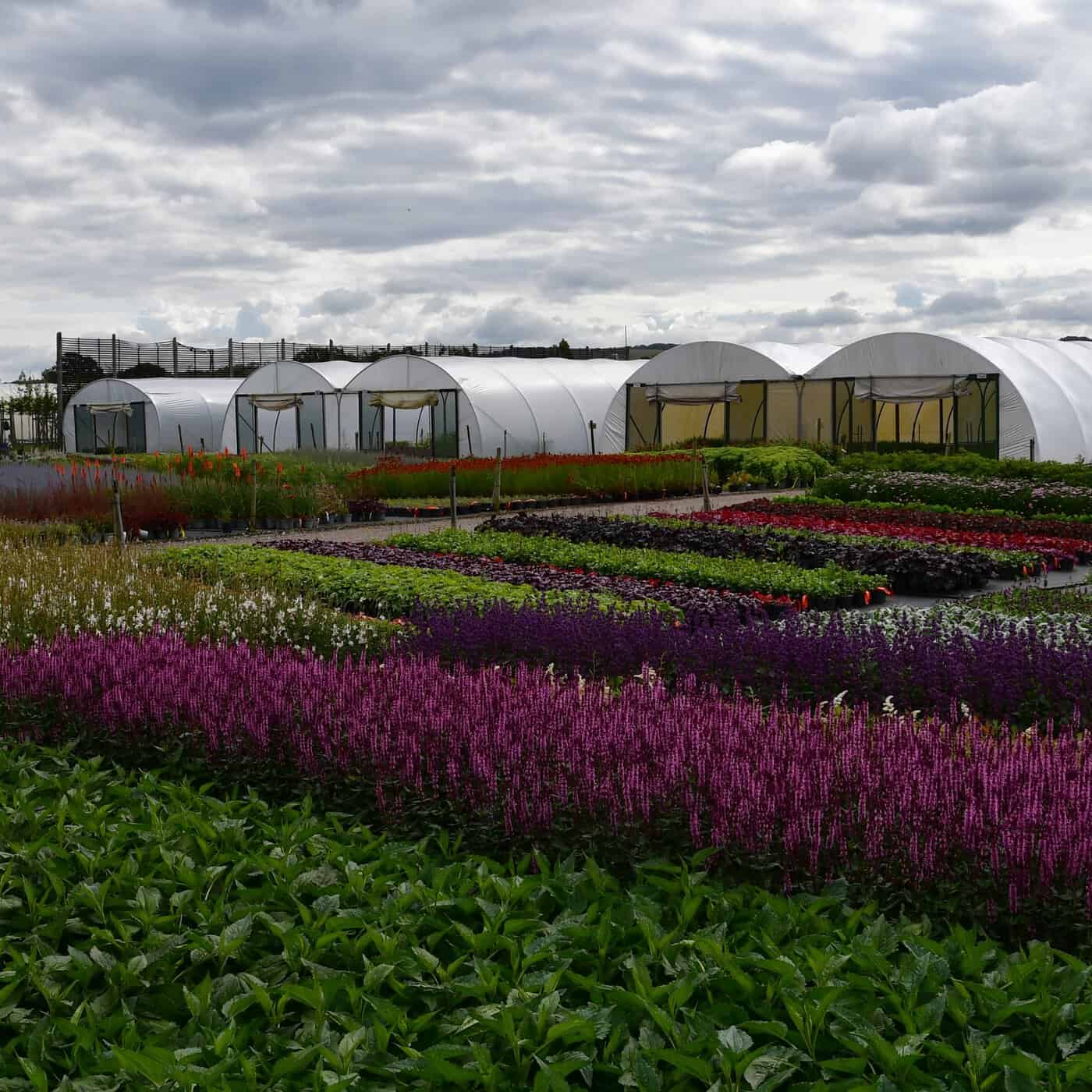 Palmstead Nursery Shop